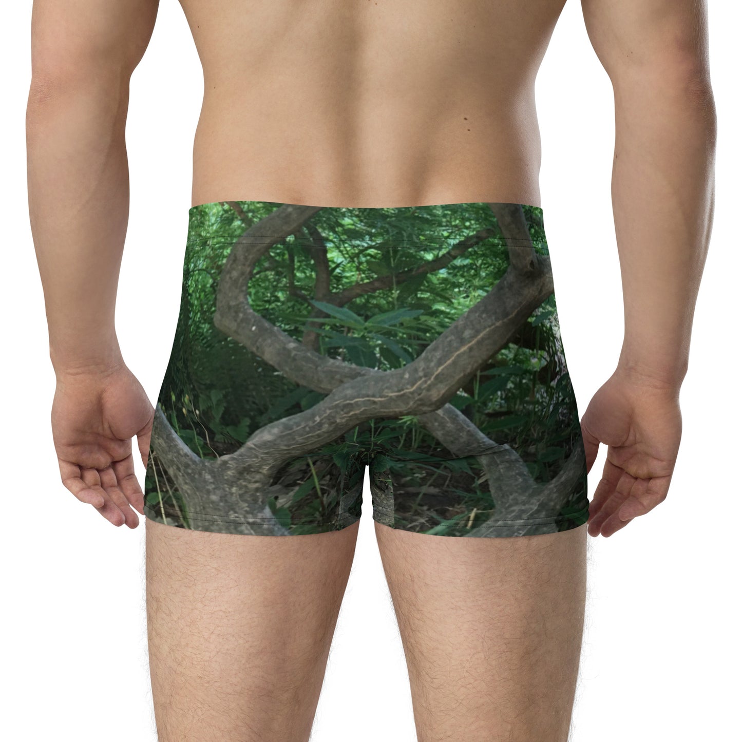 BOXER BRIEFS : JAPANESE MAPLE TREE