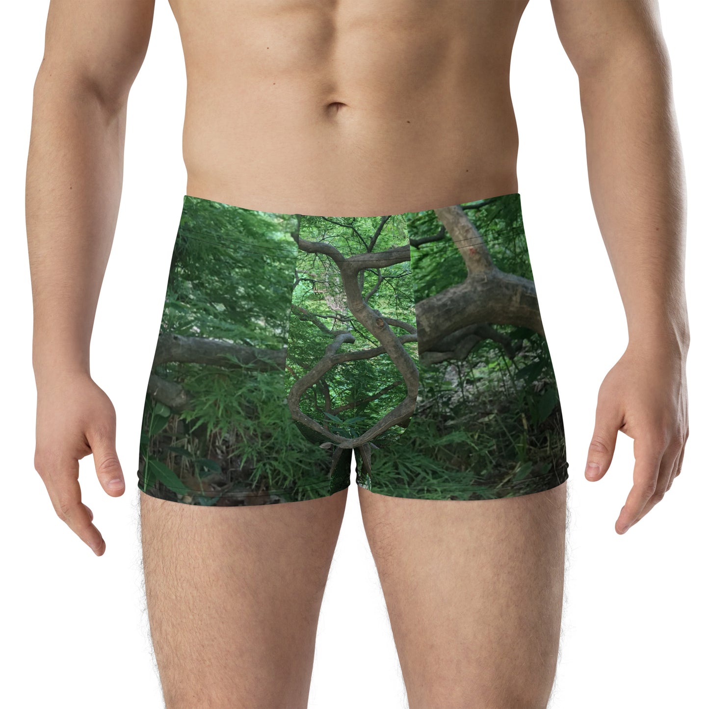 BOXER BRIEFS : JAPANESE MAPLE TREE