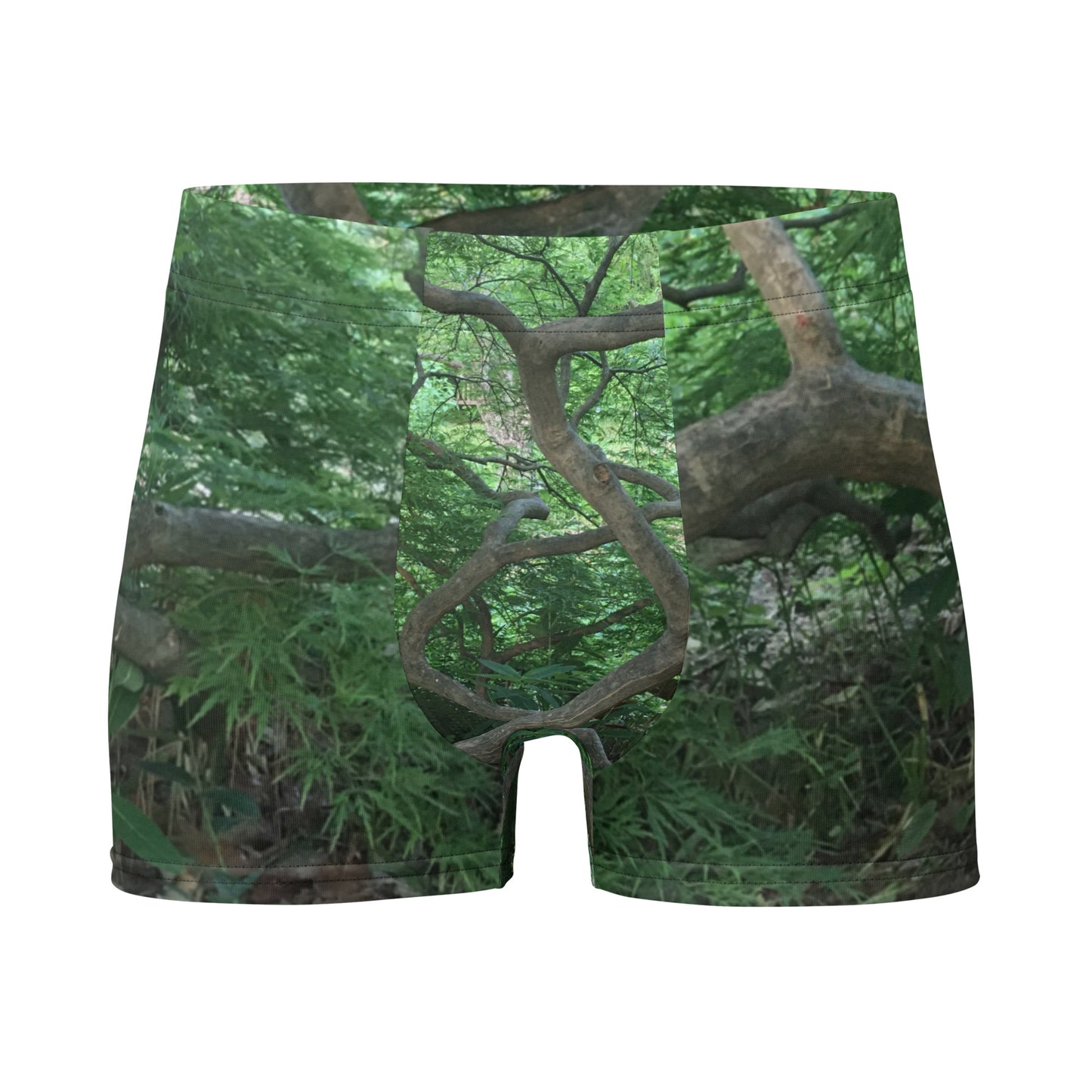 BOXER BRIEFS : JAPANESE MAPLE TREE