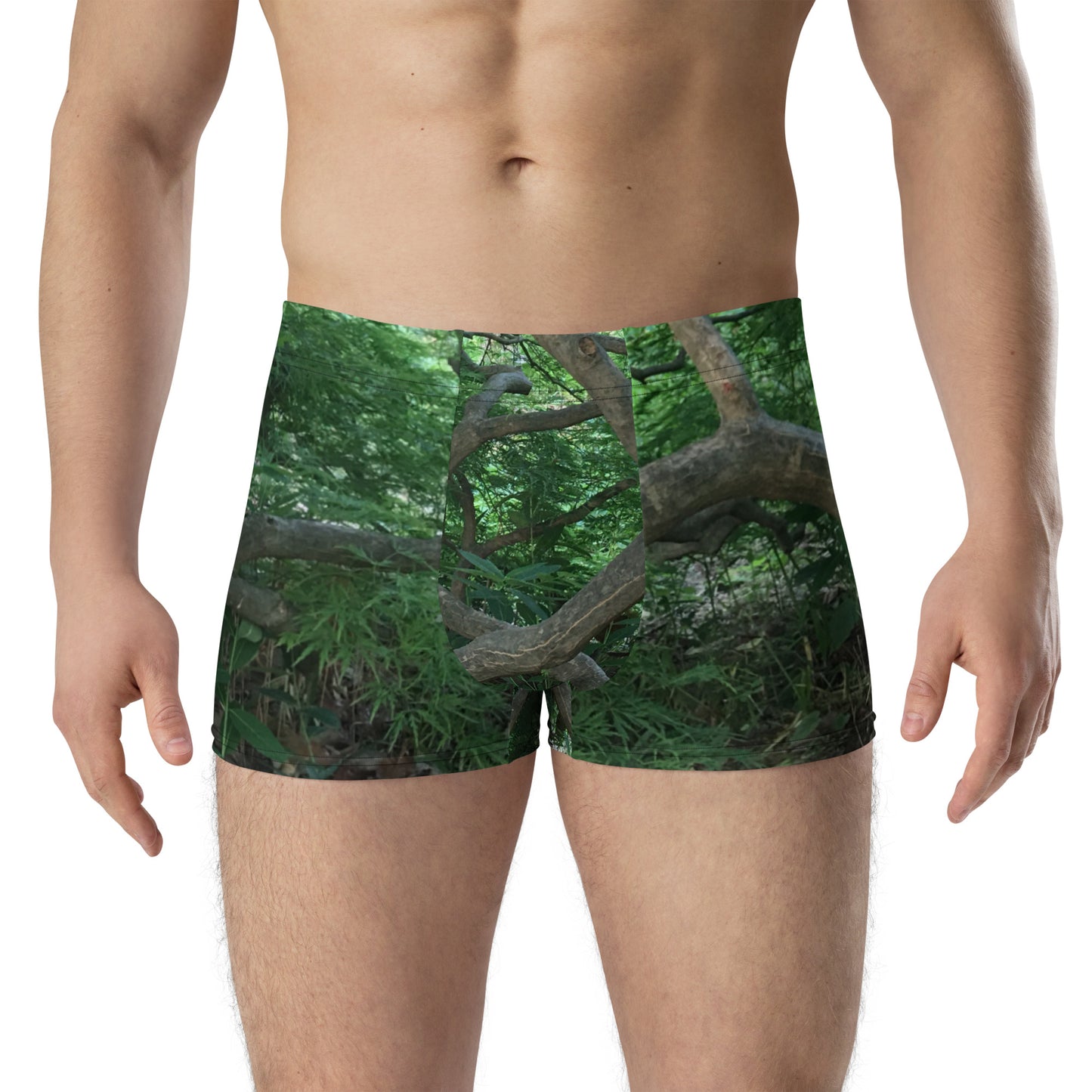 BOXER BRIEFS : JAPANESE MAPLE TREE