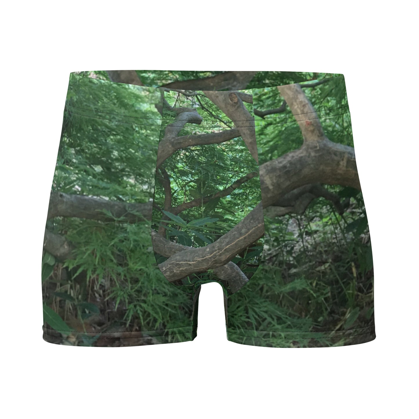 BOXER BRIEFS : JAPANESE MAPLE TREE