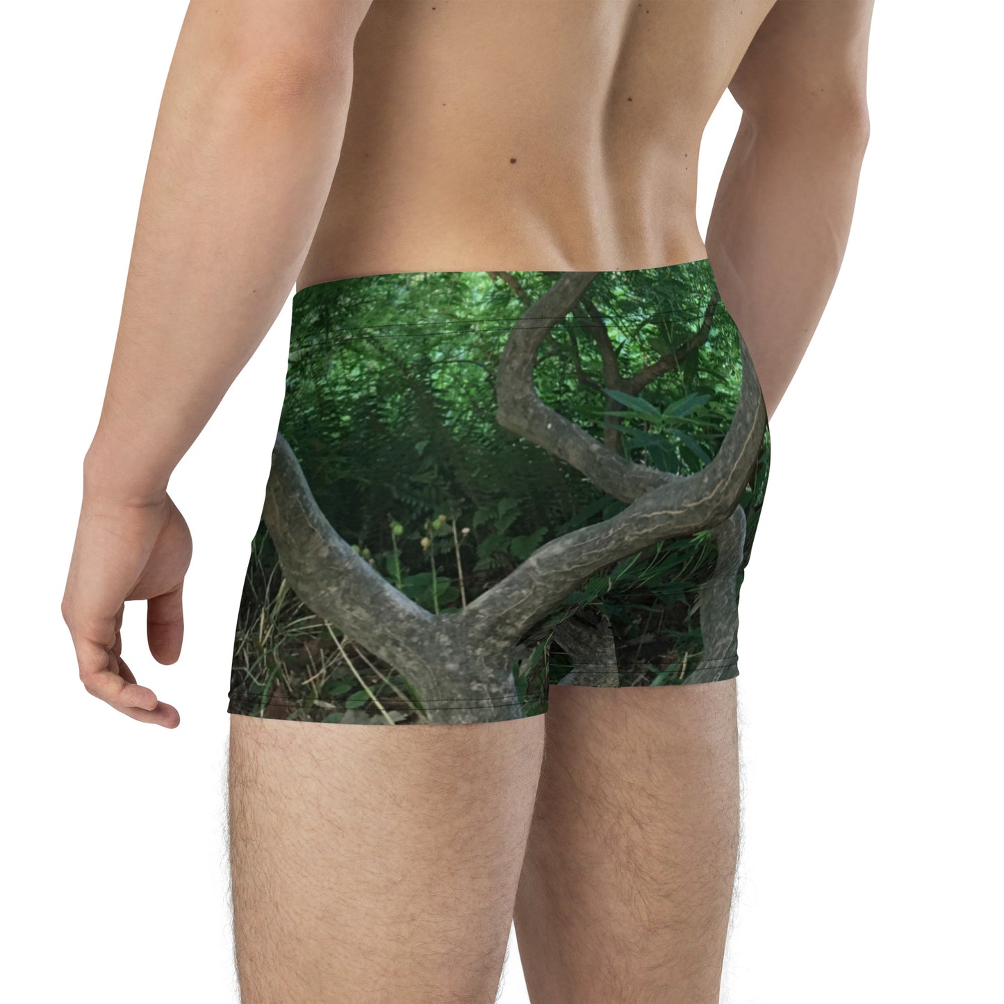 BOXER BRIEFS : JAPANESE MAPLE TREE