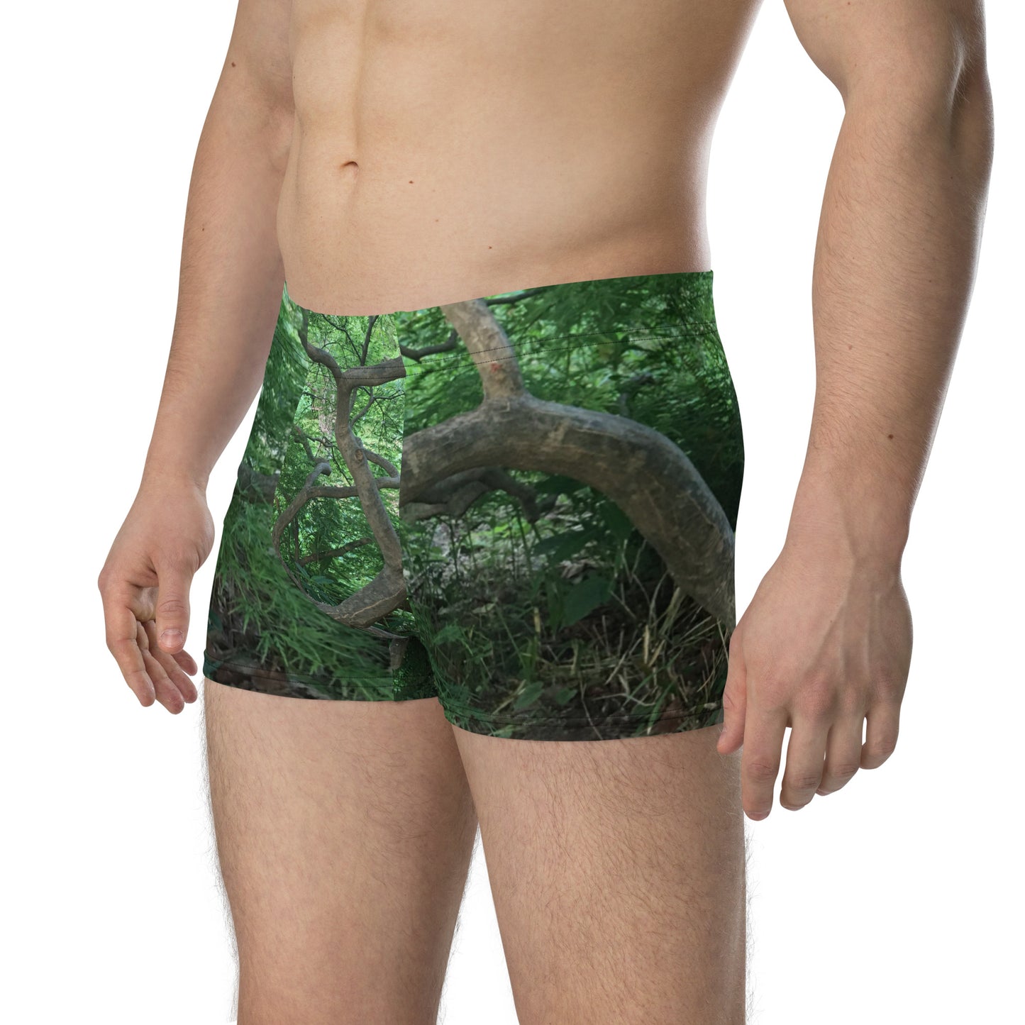 BOXER BRIEFS : JAPANESE MAPLE TREE