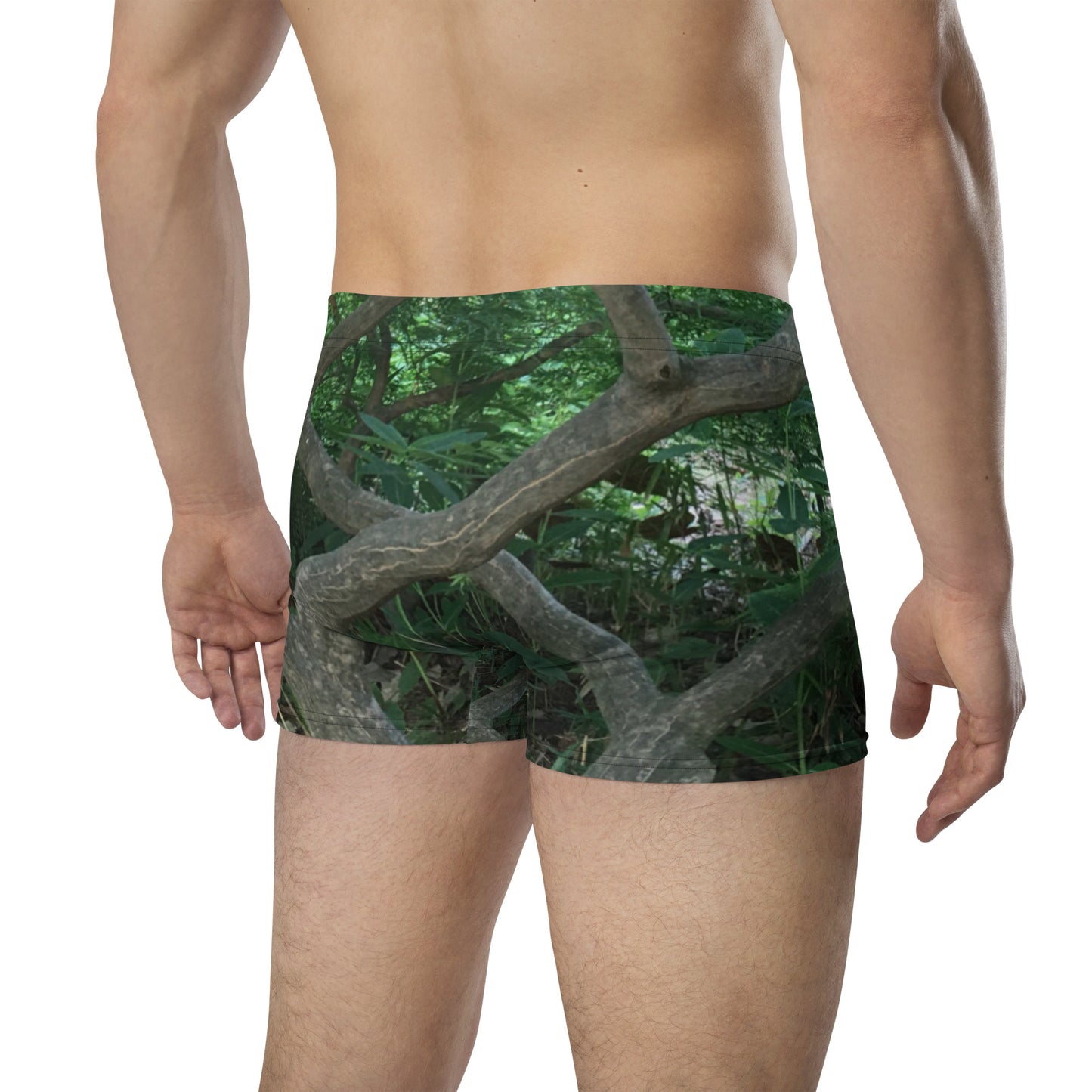 BOXER BRIEFS : JAPANESE MAPLE TREE