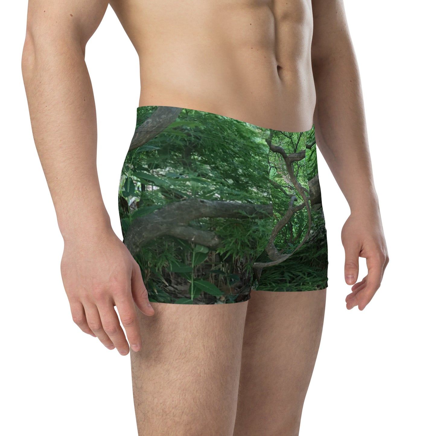 BOXER BRIEFS : JAPANESE MAPLE TREE