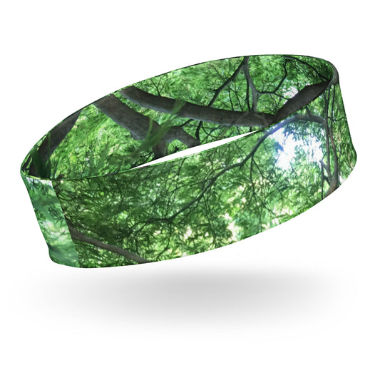 HEADBAND : GREEN CASCADING MAPLE TREE