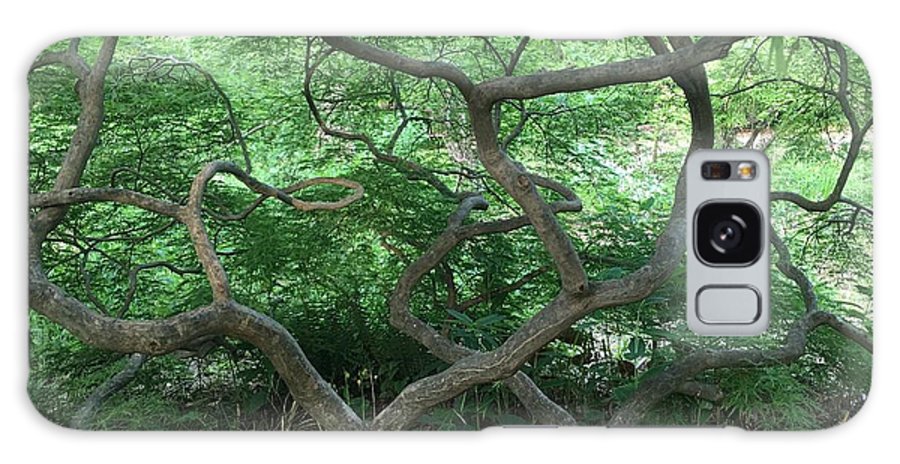 Cascading Japanese Maple - Phone Case