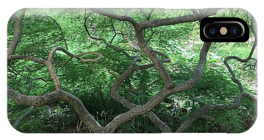 Cascading Japanese Maple - Phone Case