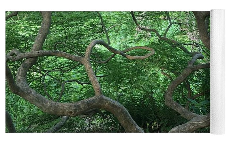 Cascading Japanese Maple - Yoga Mat