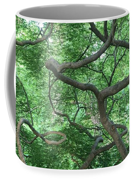 MUG : GREEN CASCADING JAPANESE MAPLE TREE