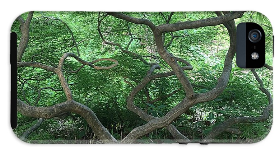 Cascading Japanese Maple - Phone Case