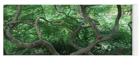 Cascading Japanese Maple - Yoga Mat