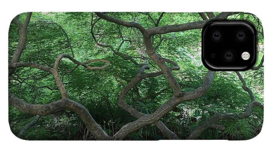 Cascading Japanese Maple - Phone Case