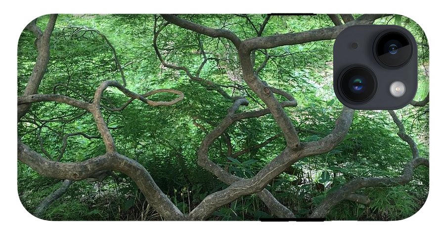 Cascading Japanese Maple - Phone Case