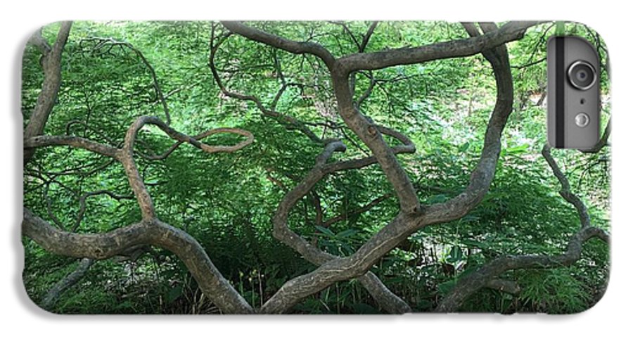 Cascading Japanese Maple - Phone Case