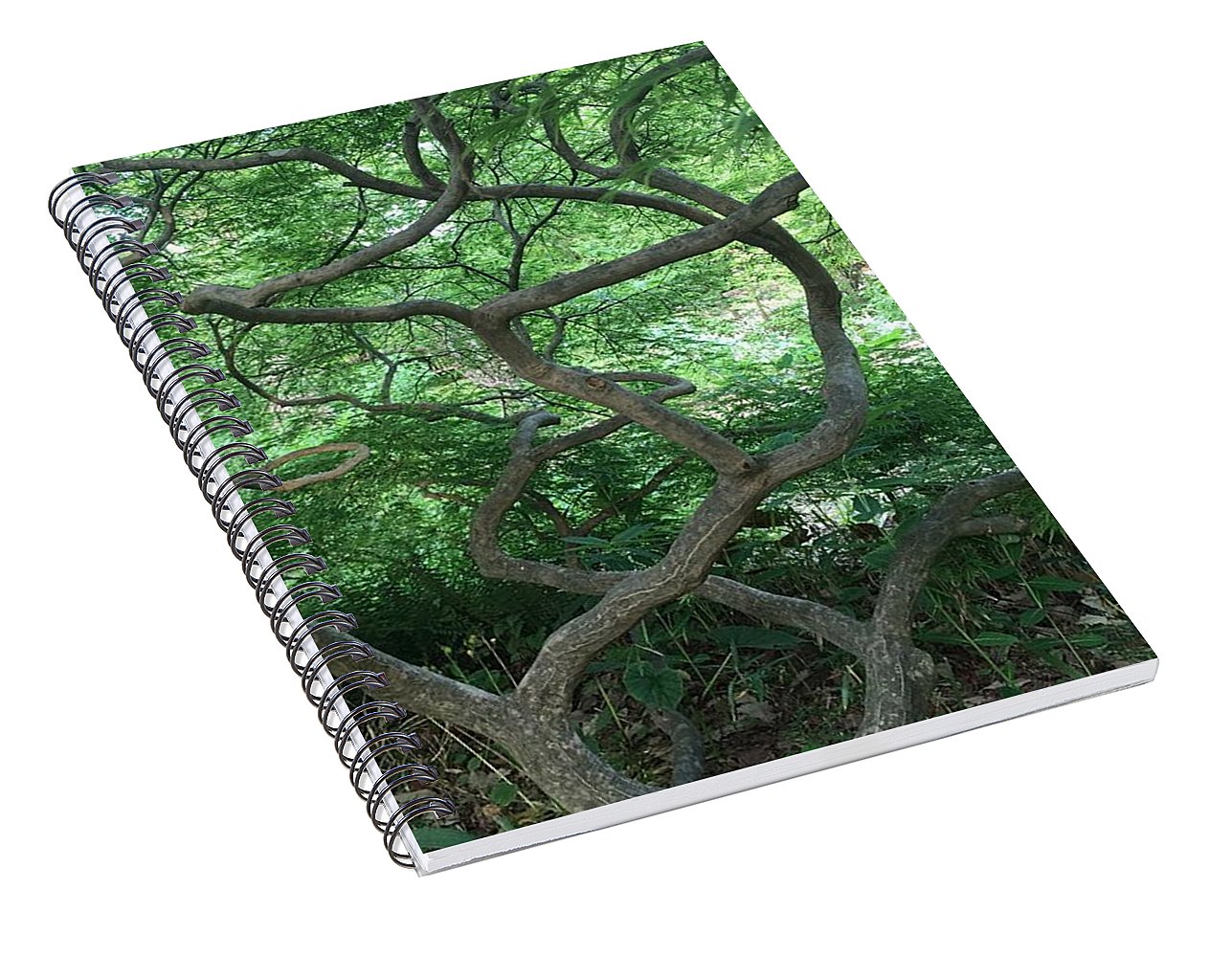 Cascading Japanese Maple - Spiral Notebook