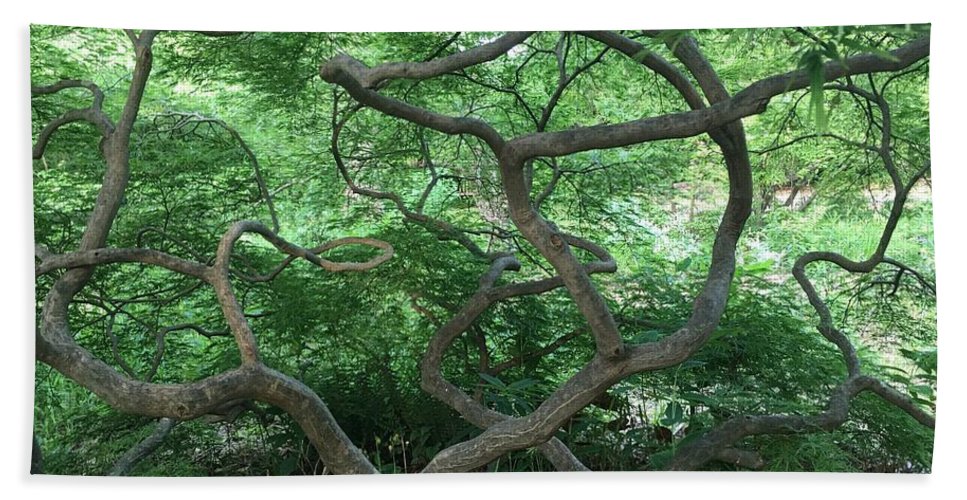 Cascading Japanese Maple - Beach Towel