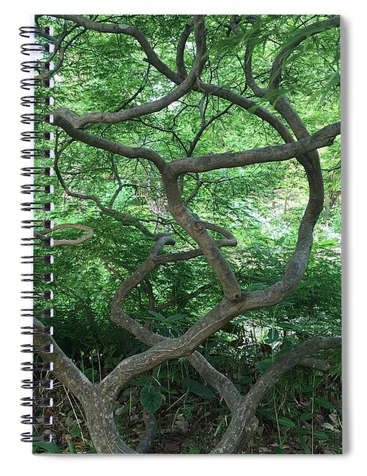 Cascading Japanese Maple - Spiral Notebook