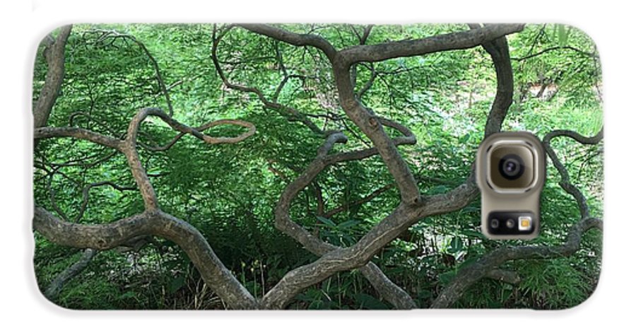 Cascading Japanese Maple - Phone Case