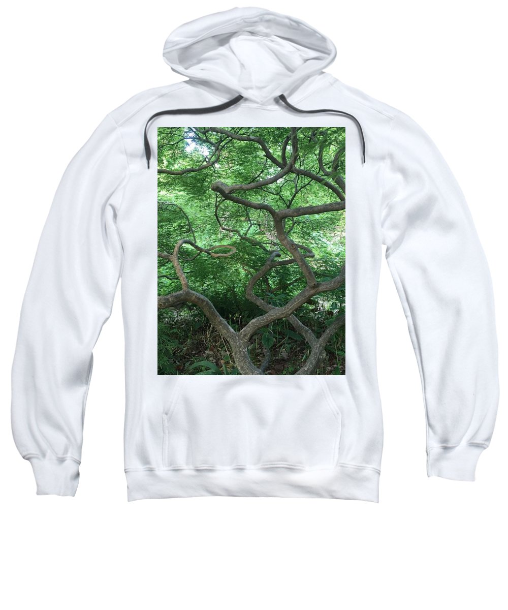 Cascading Japanese Maple - Sweatshirt