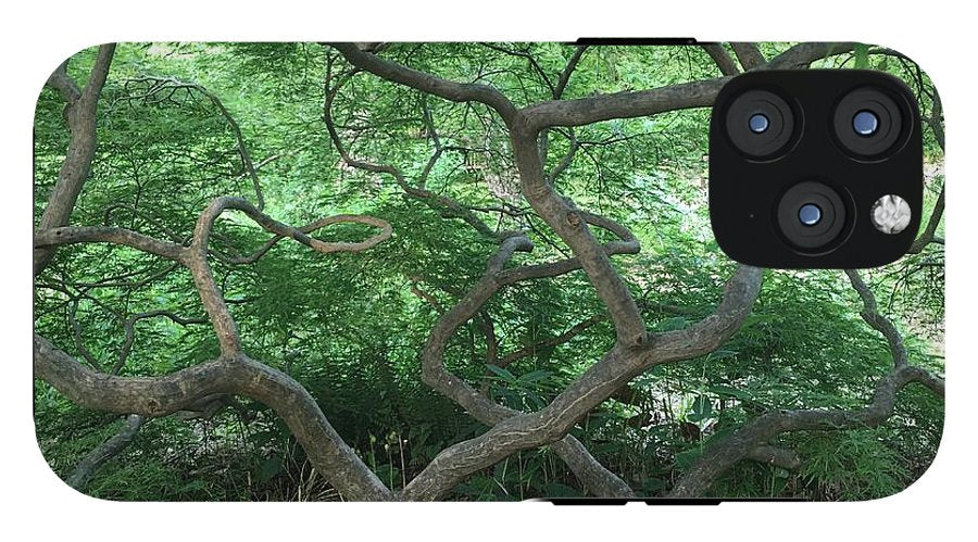 Cascading Japanese Maple - Phone Case