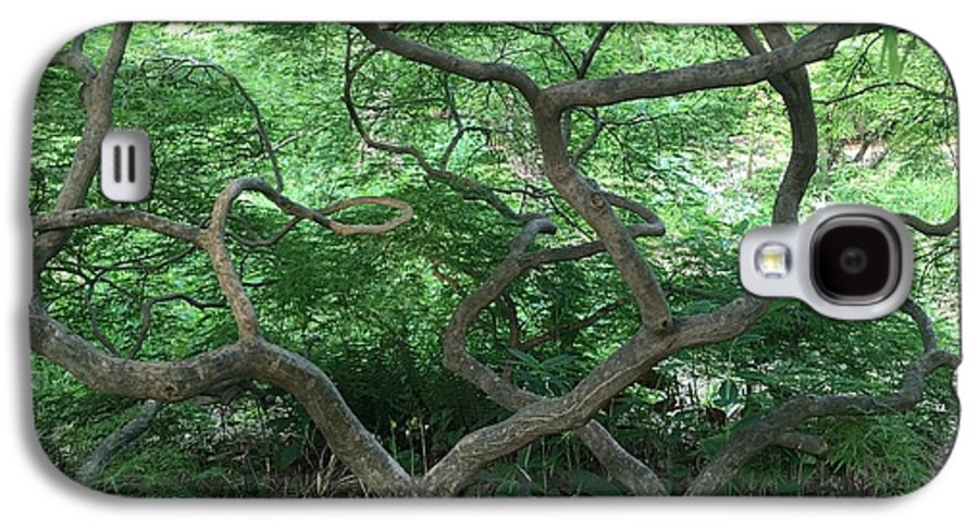 Cascading Japanese Maple - Phone Case