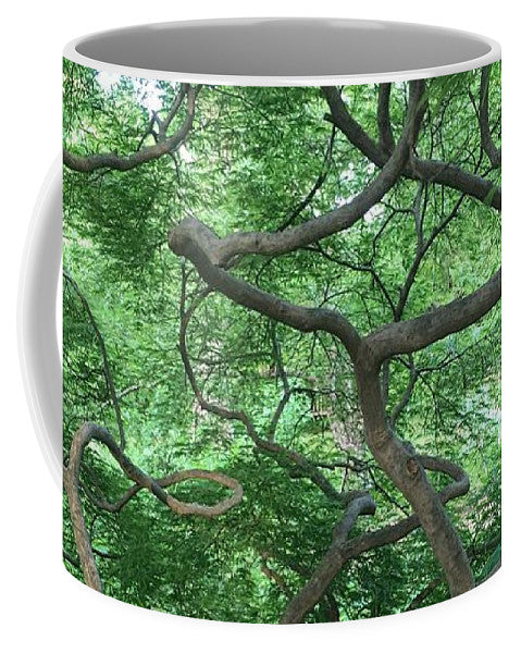 MUG : GREEN CASCADING JAPANESE MAPLE TREE