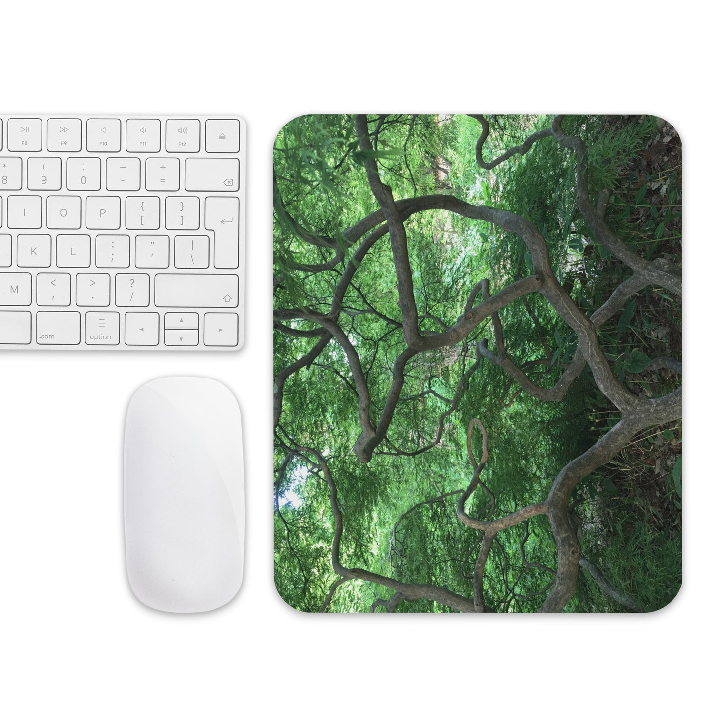 COMPUTER MOUSE PAD : GREEN CASCADING JAPANESE MAPLE TREE