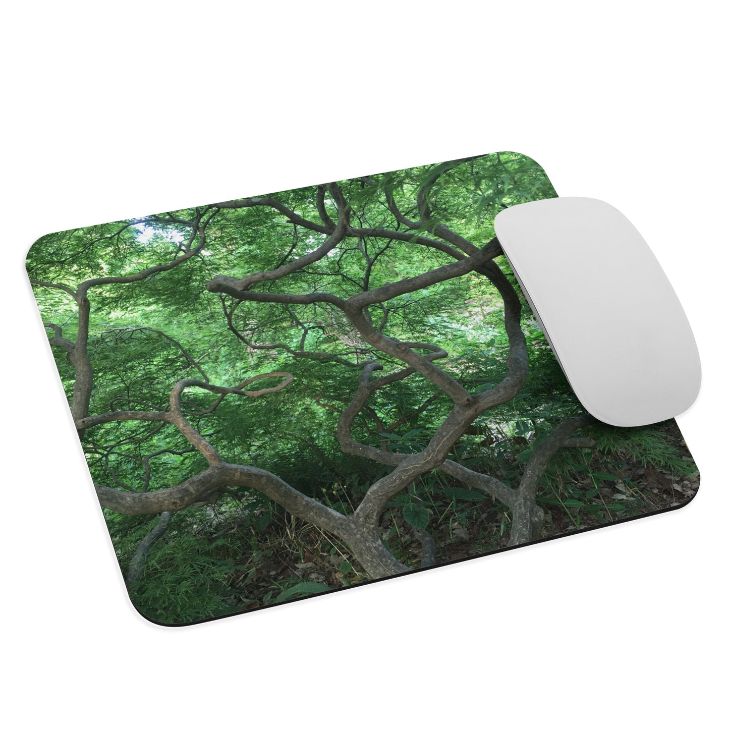 COMPUTER MOUSE PAD : GREEN CASCADING JAPANESE MAPLE TREE