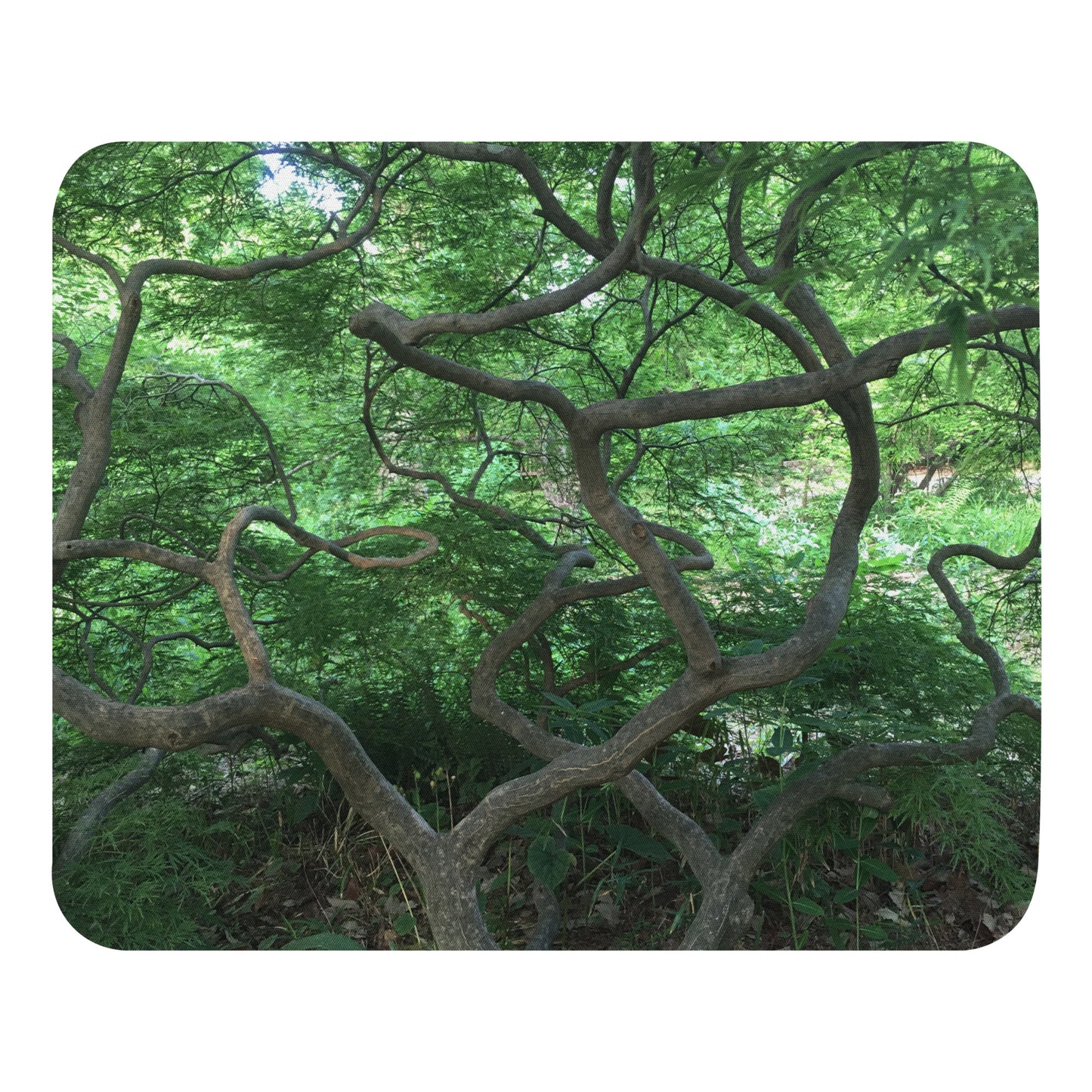 COMPUTER MOUSE PAD : GREEN CASCADING JAPANESE MAPLE TREE