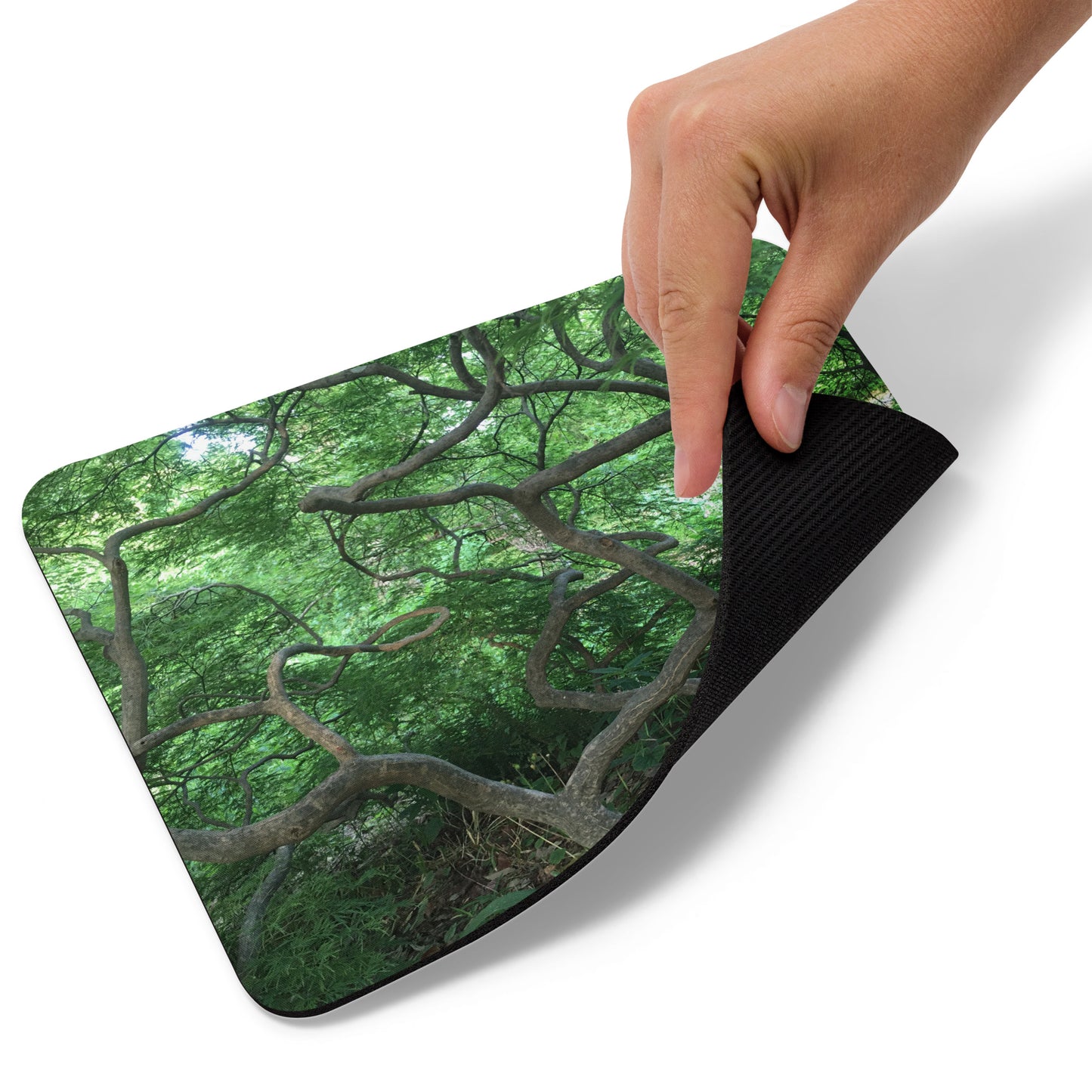 COMPUTER MOUSE PAD : GREEN CASCADING JAPANESE MAPLE TREE