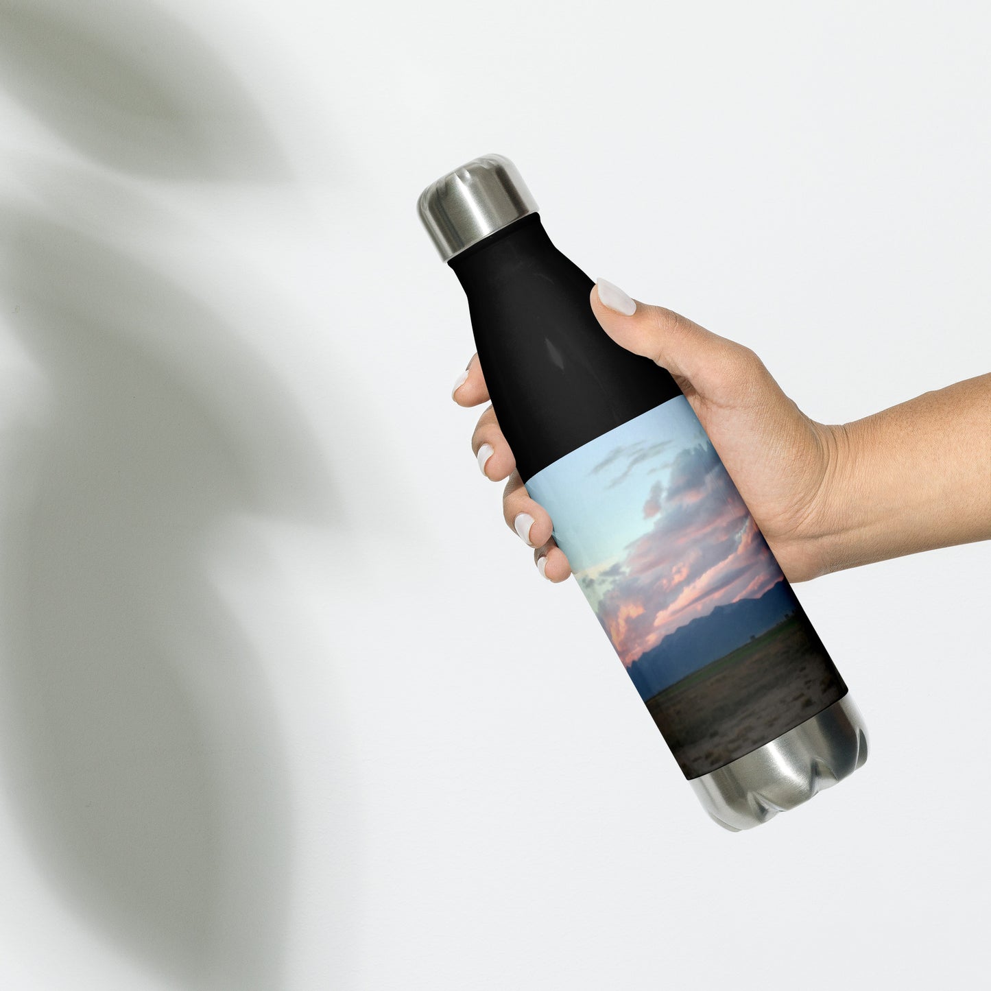 STAINLESS STEEL WATER BOTTLE : CLOUDS BEFORE DUSK