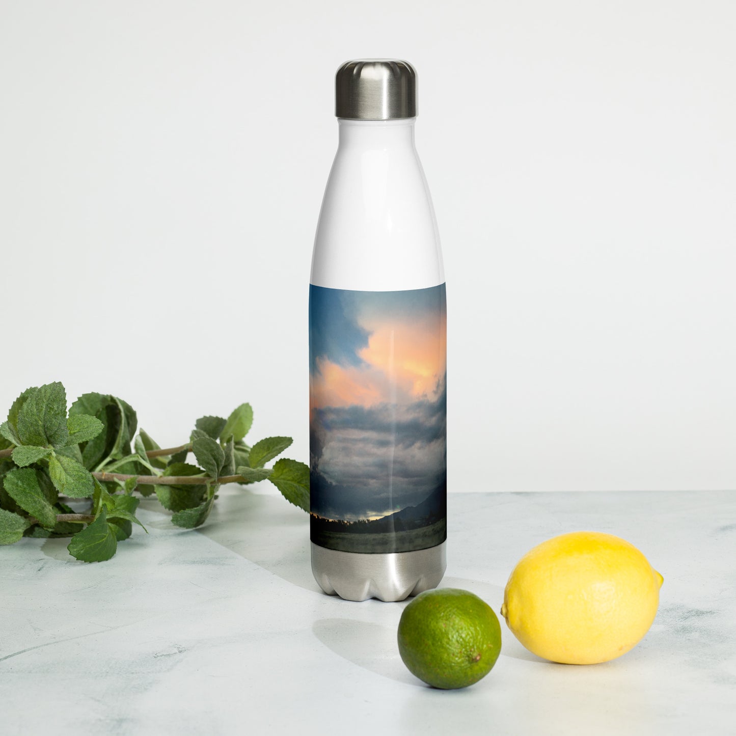 STAINLESS STEEL WATER BOTTLE : BEAUTIFUL SUMMER STORMS CRESTONE