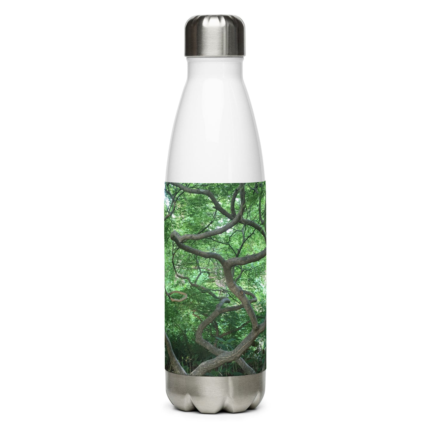 STAINLESS STEEL WATER BOTTLE : CASCADING JAPANESE MAPLE TREE