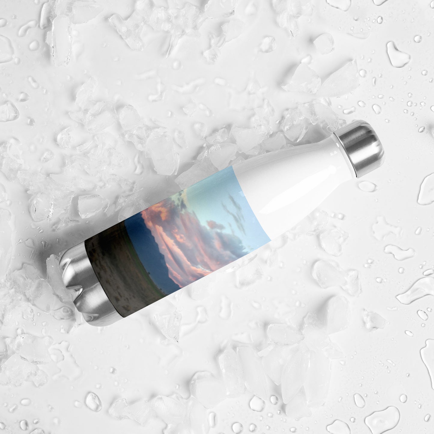 STAINLESS STEEL WTER BOTTLE : CLOUDS BEFORE DUSK